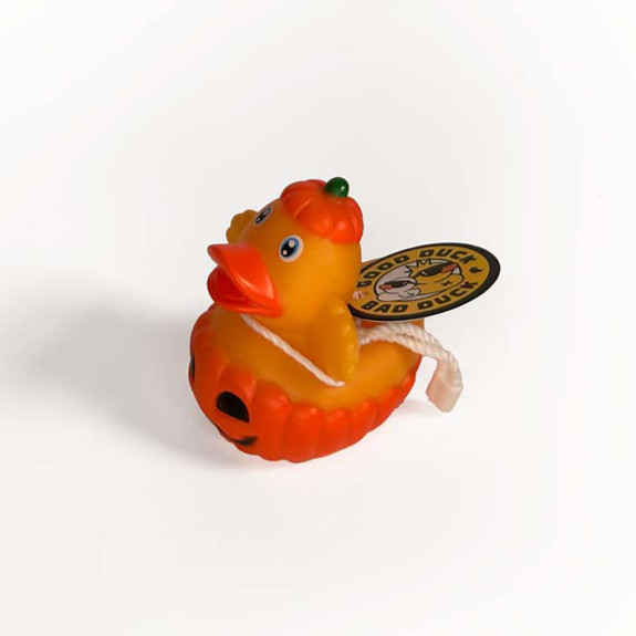 Pumpkin Duck